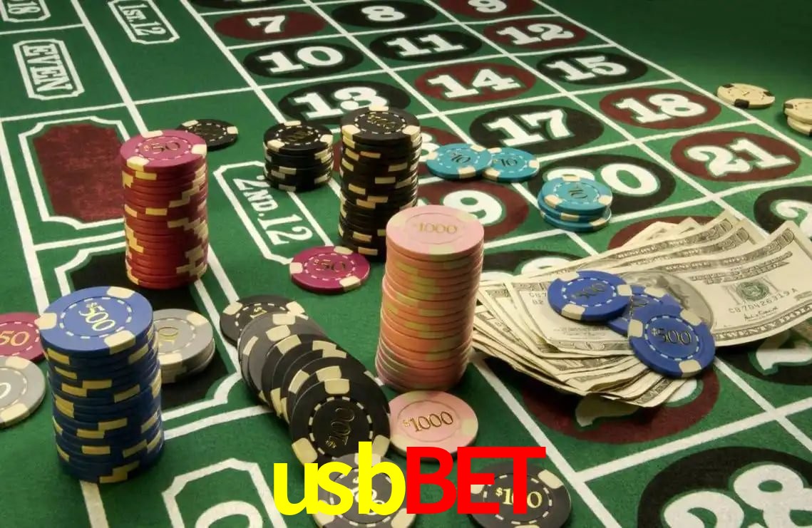 usbbet App Interface